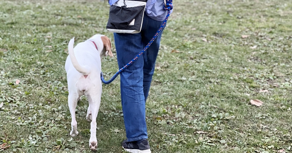 ショルダーバッグで犬と散歩
